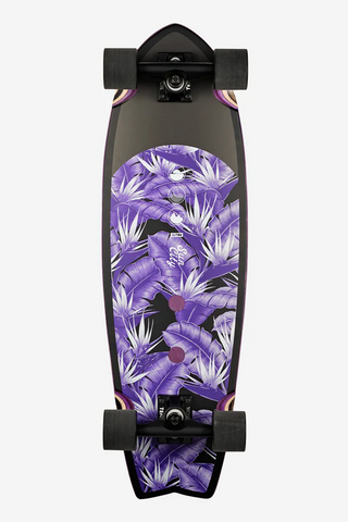 Sun City 30" Cruiser Complete