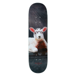 Jerry Hsu Lamb Deck