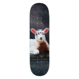 Jerry Hsu Lamb Deck