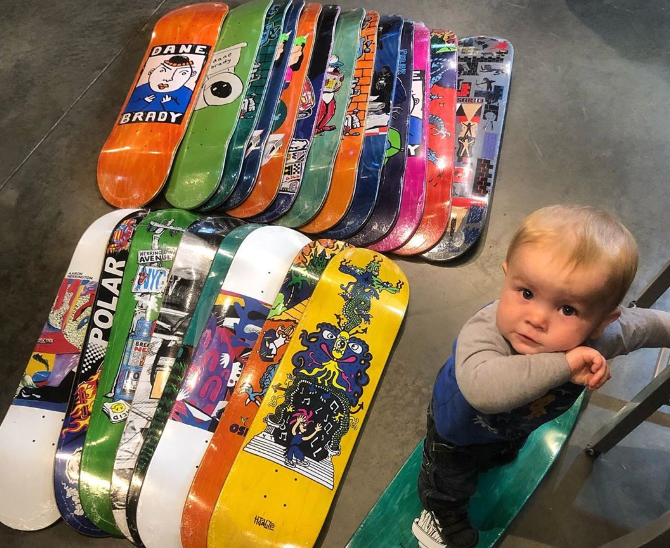 Blue & Gold Boardshop - snowboarding, skateboarding, surfing