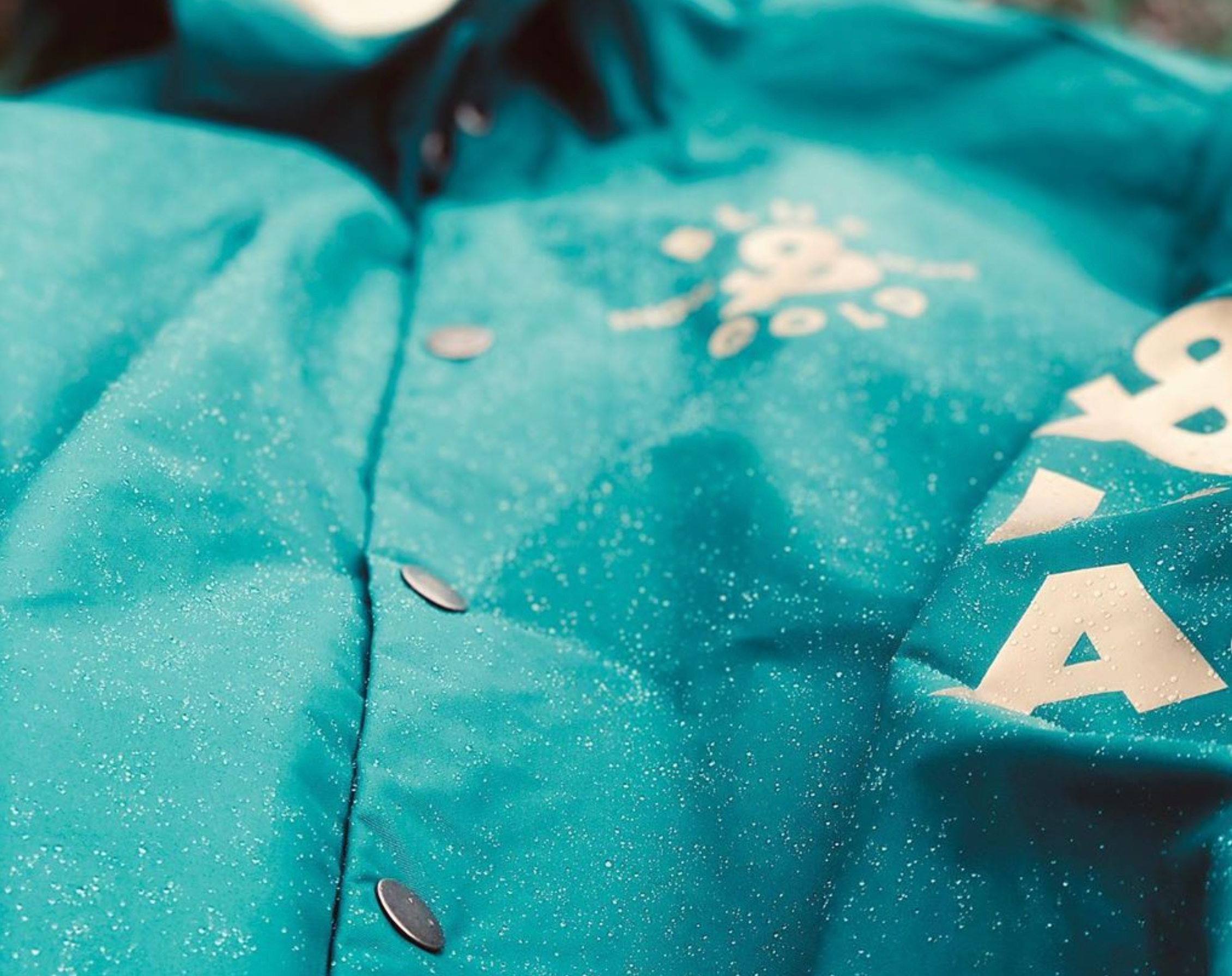 Blue & Gold Boardshop - snowboarding, skateboarding, surfing