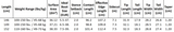 Women's Flagship Snowboard 23/24