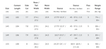 Dynamiss Snowboard 23/24