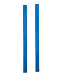 Skate Rails - Blue & Gold Boardshop