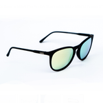 Fenton Polarized