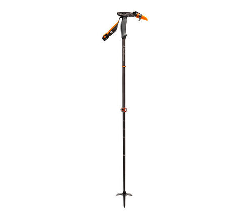 Carbon Whippet Pole - Blue & Gold Boardshop